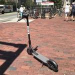 A motorized electric Bird scooter parked in Central Square in Cambridge on Friday. The scooters, which can be rented with a smartphone app, appeared overnight on streets in Cambridge and Somerville.